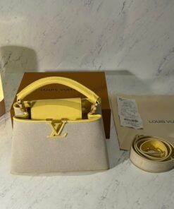 LV CAPUCINES HANDBAG